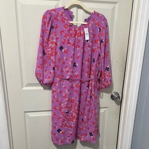 Ann Taylor Pink Sundress with Bishop Sleeves